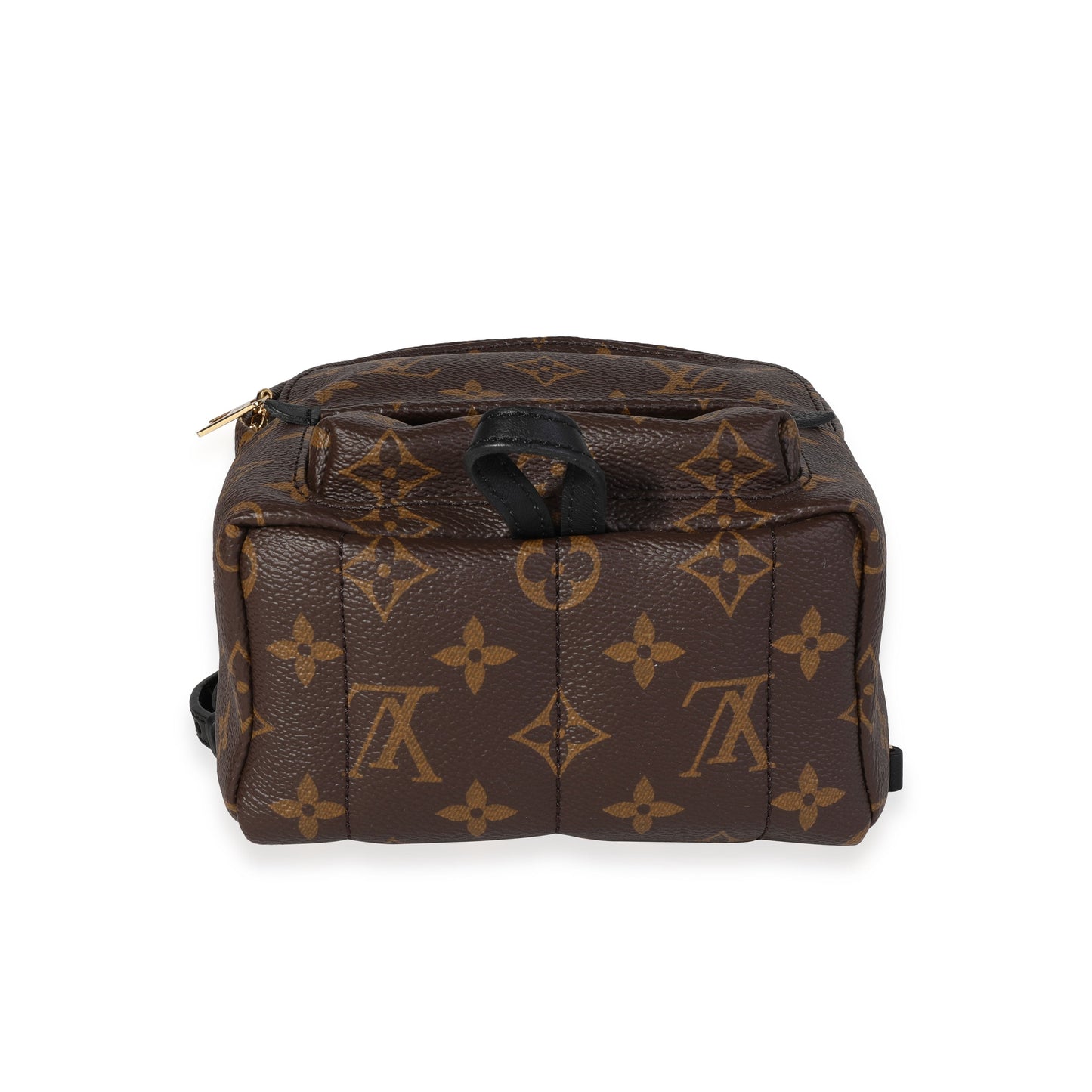 Louis Vuitton Louis Vuitton Monogram Canvas Palm Springs Mini Backpack