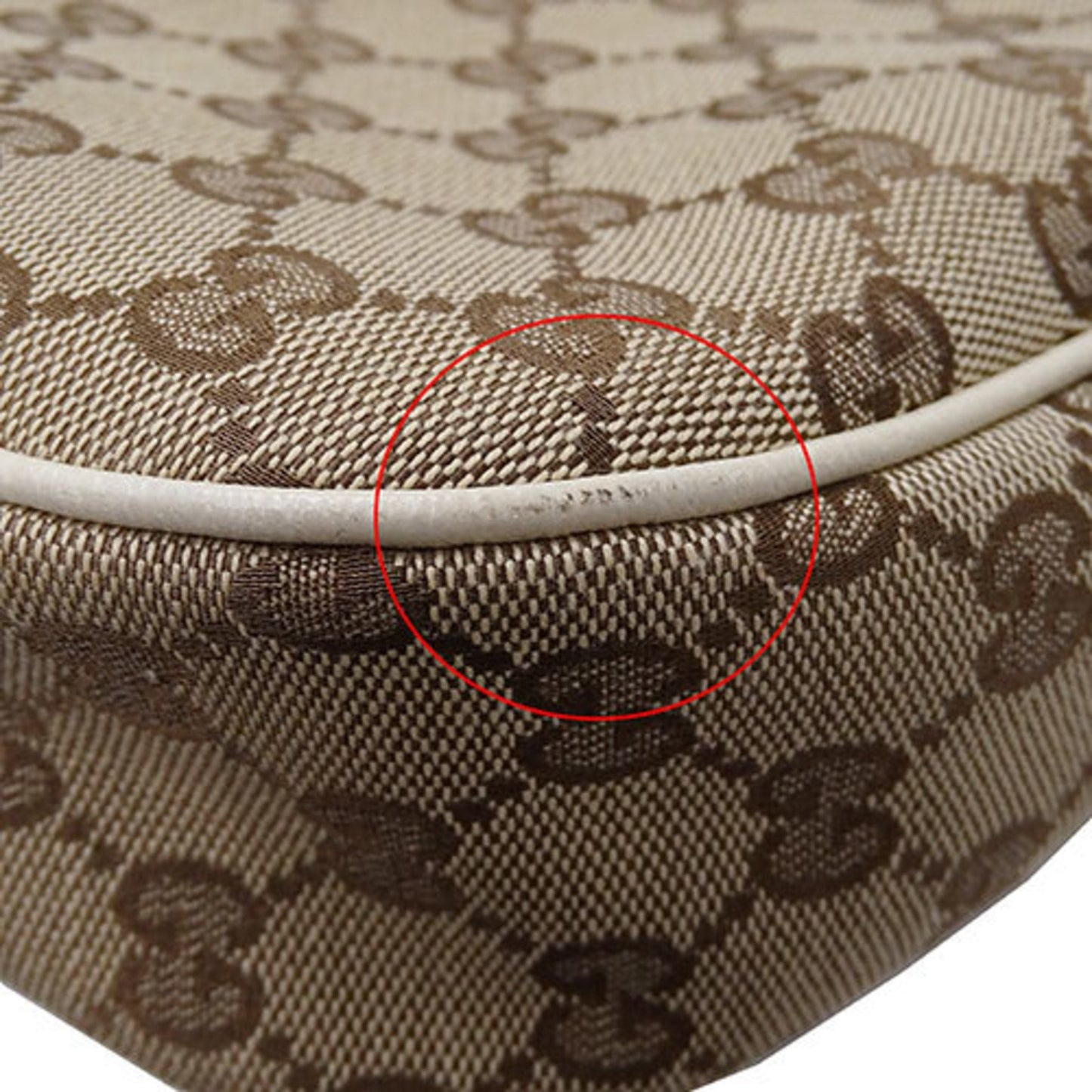 Gucci GG canvas