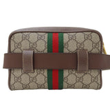 Gucci Ophidia