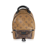 Louis Vuitton Louis Vuitton Monogram Reverse Palm Springs Mini Backpack
