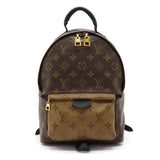 Louis Vuitton Monogram Reverse Palm Springs Backpack