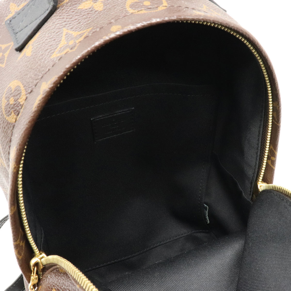 Louis Vuitton Monogram Reverse Palm Springs Backpack