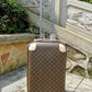 Fan Fashion Lu-Vi bags - 11385