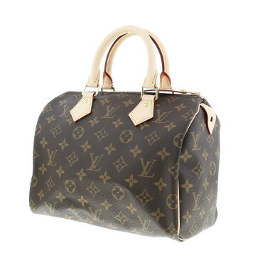 Louis Vuitton Speedy Monogram Boston Bag