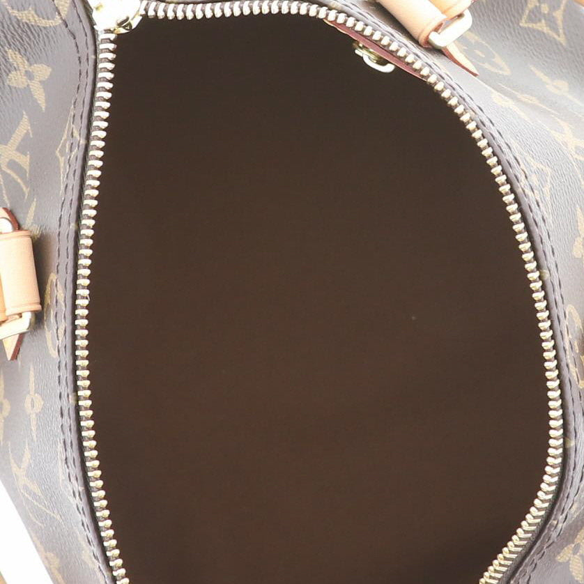 Louis Vuitton Speedy Monogram Boston Bag