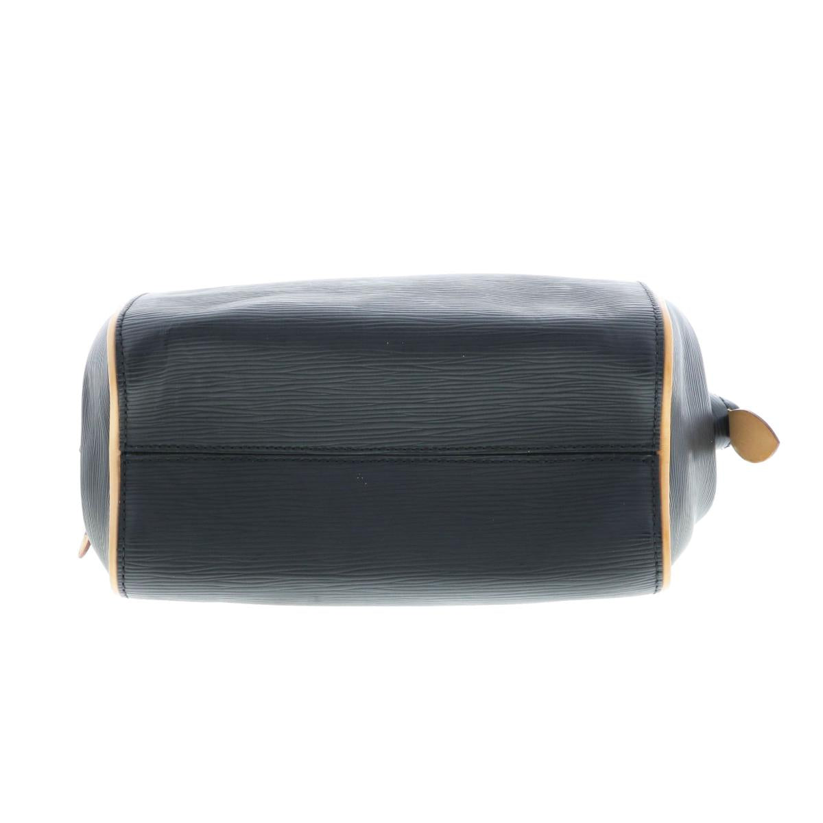 Louis Vuitton Dog BB Epi Handbag