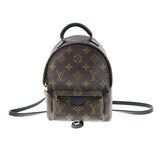 Louis Vuitton Palm Springs Monogram Backpack