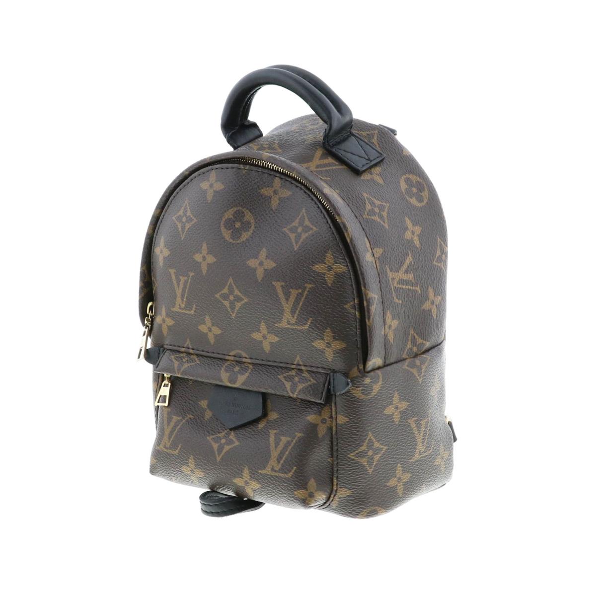 Louis Vuitton Palm Springs Monogram Backpack