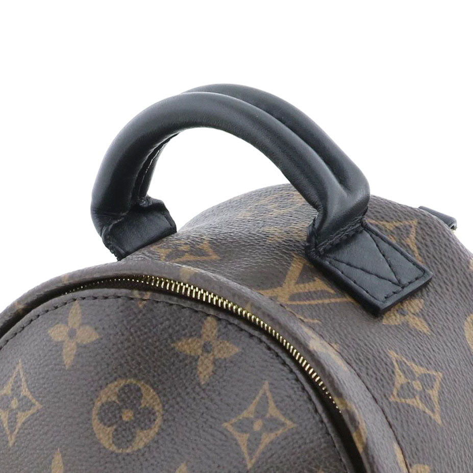 Louis Vuitton Palm Springs Monogram Backpack