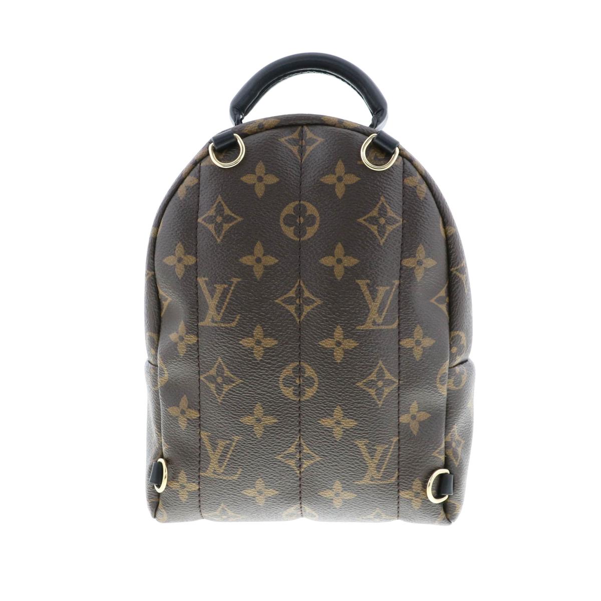 Louis Vuitton Palm Springs Monogram Backpack