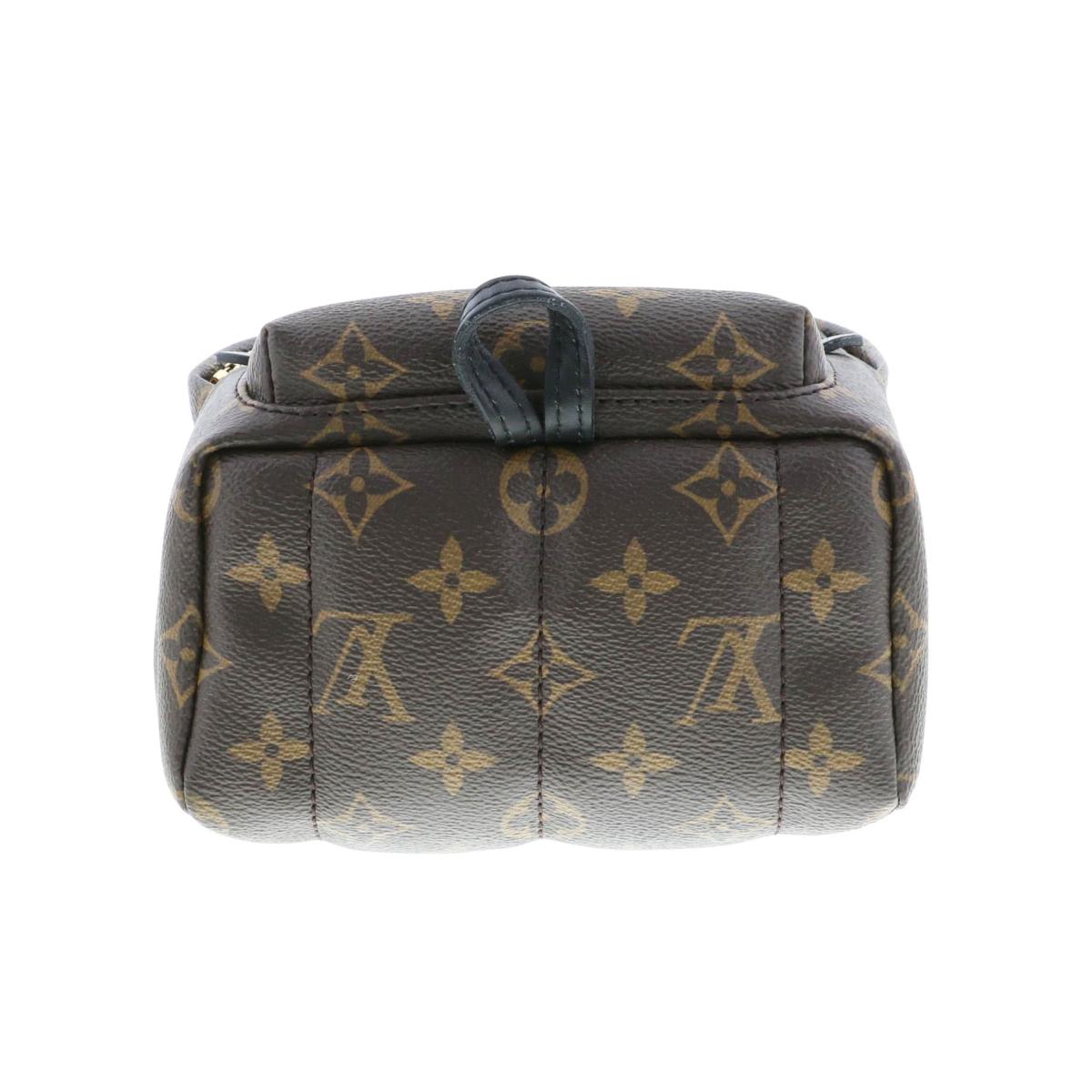 Louis Vuitton Palm Springs Monogram Backpack