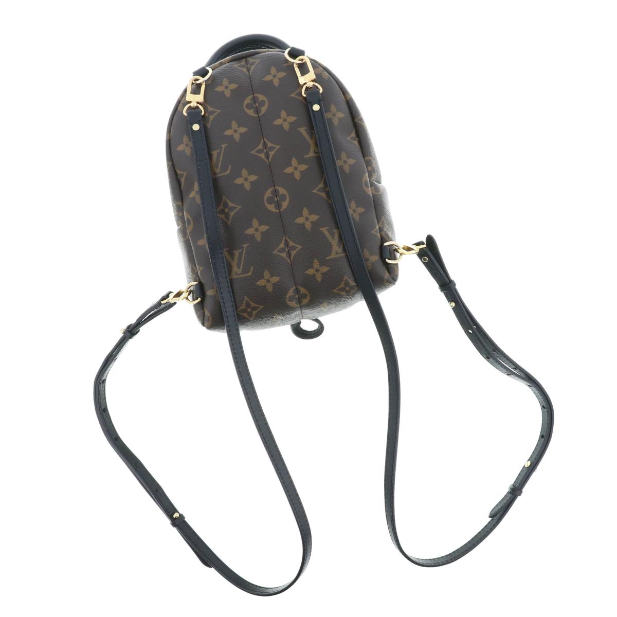 Louis Vuitton Palm Springs Monogram Backpack