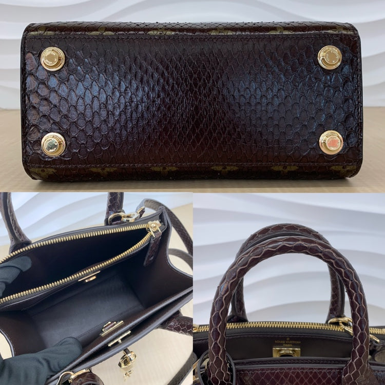 Louis Vuitton City Steamer Mini Python Bag Handbag Brown