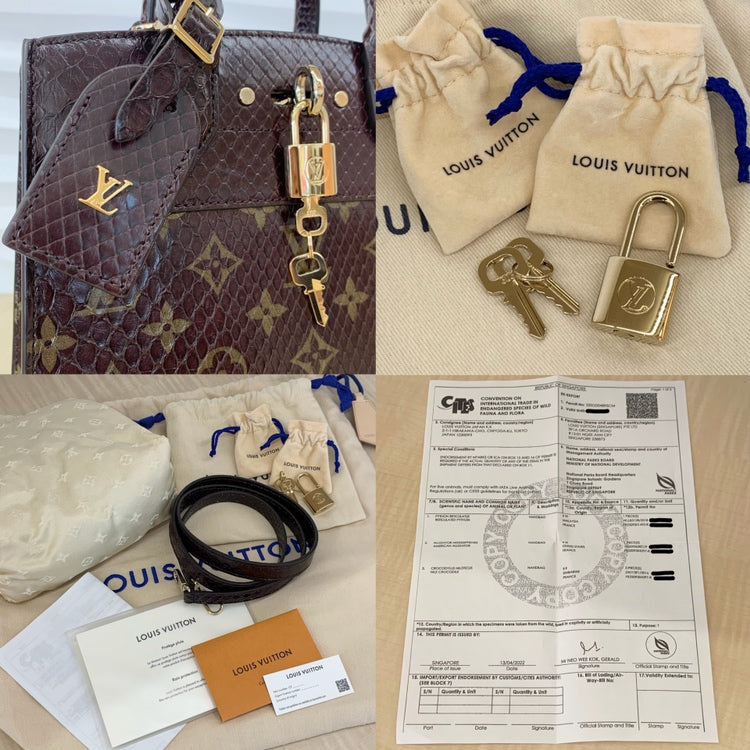 Louis Vuitton City Steamer Mini Python Bag Handbag Brown