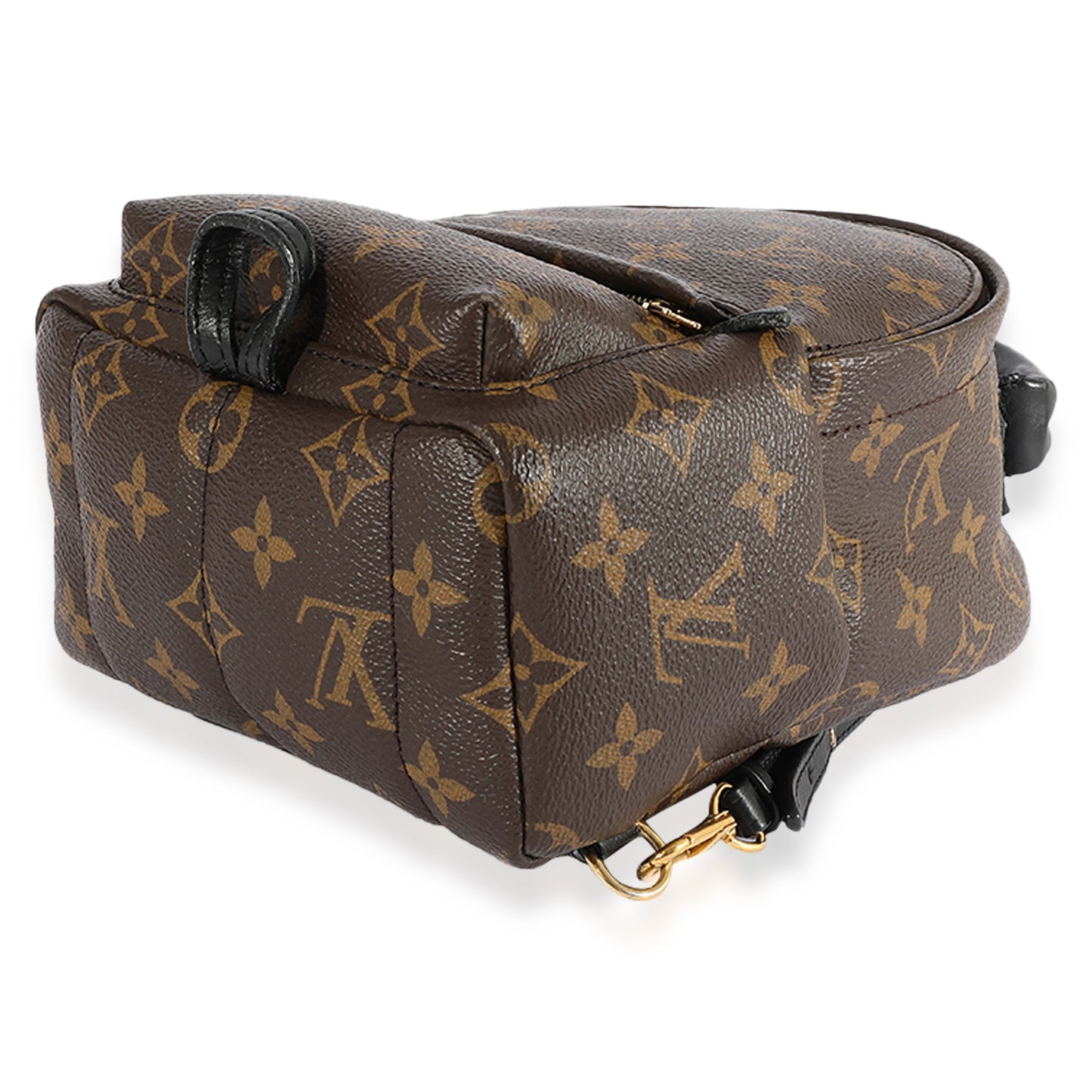 Louis Vuitton Louis Vuitton Monogram Canvas Palm Springs Mini Backpack