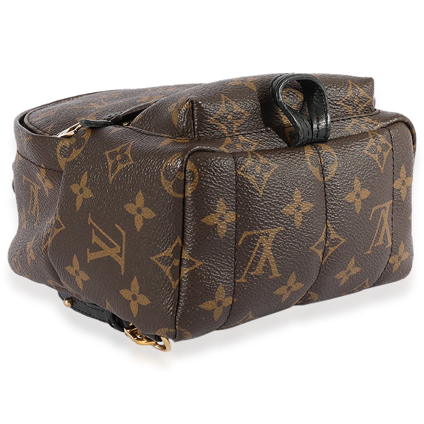 Louis Vuitton Louis Vuitton Monogram Canvas Palm Springs Mini Backpack