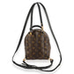 Louis Vuitton Louis Vuitton Monogram Canvas Palm Springs Mini Backpack