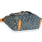 Louis Vuitton Louis Vuitton Blue Monogram Denim Baggy PM