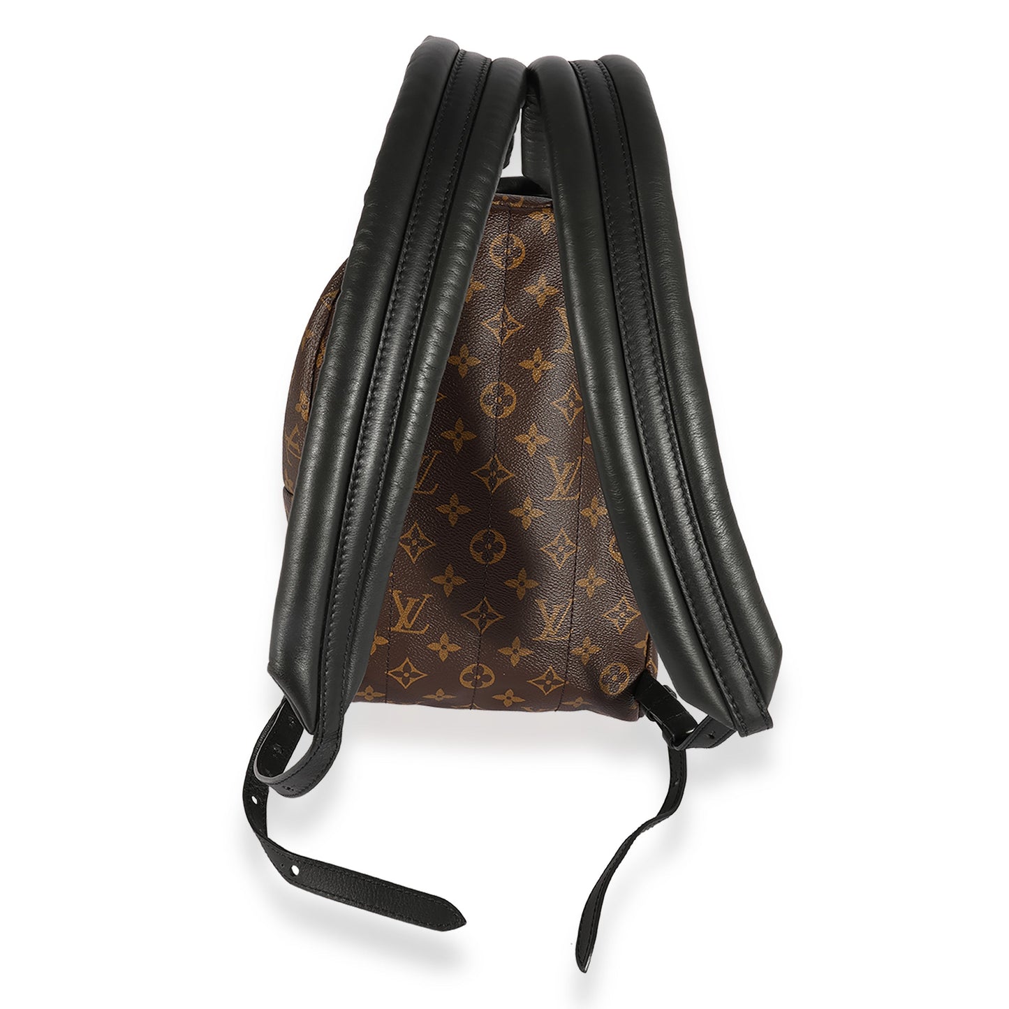 Louis Vuitton Louis Vuitton Monogram Canvas Palm Springs PM