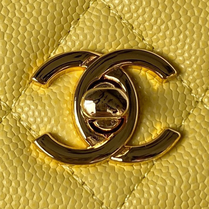 Amelia- CHL Bags - 7568