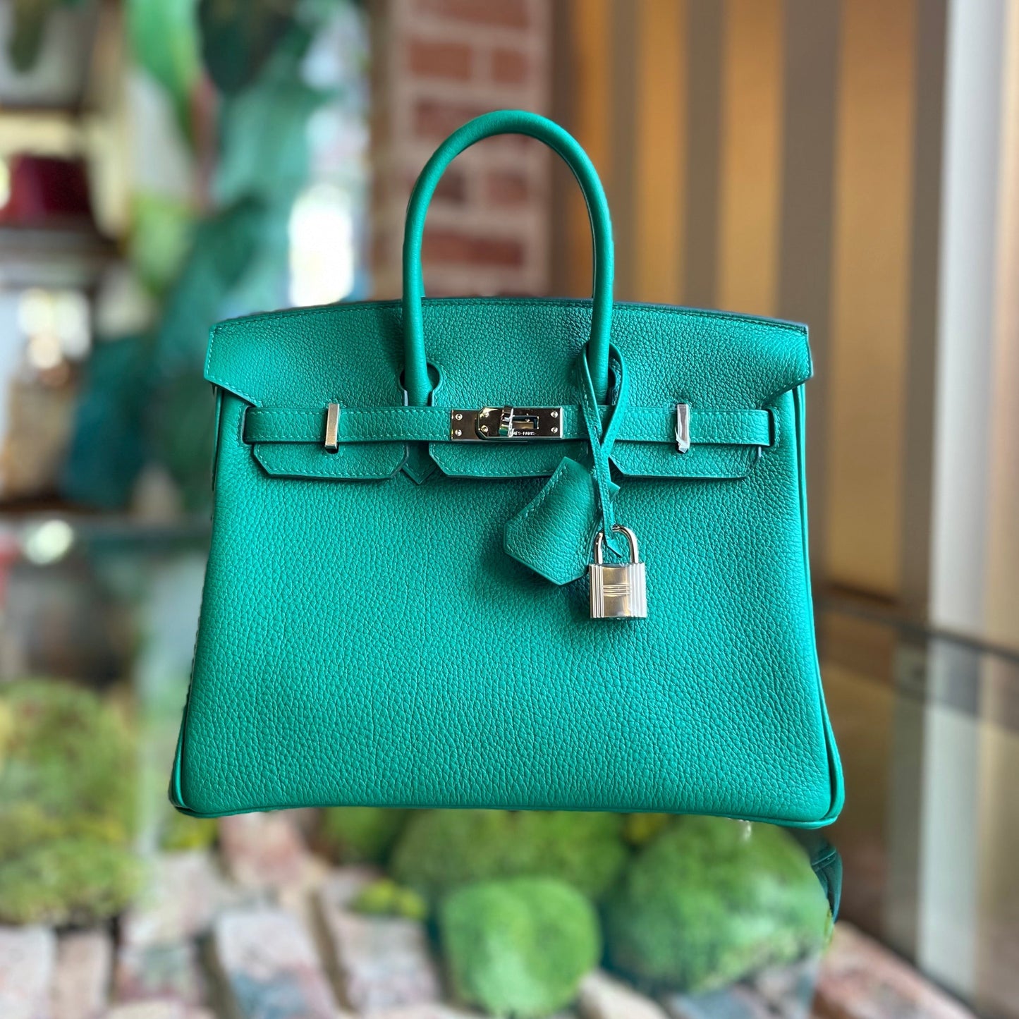 HRMS Birkin 25 Togo Satchel Bag