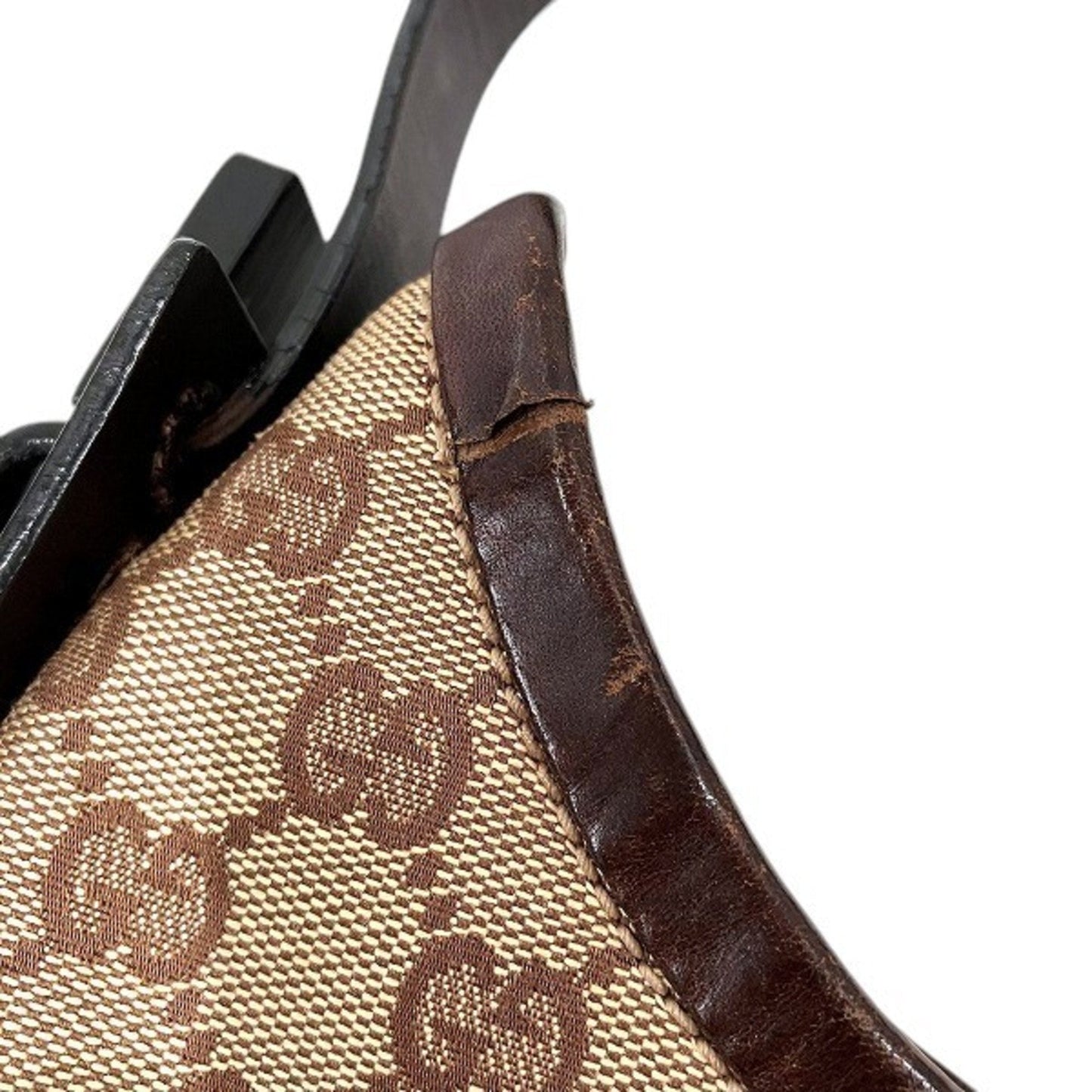 Gucci GG canvas