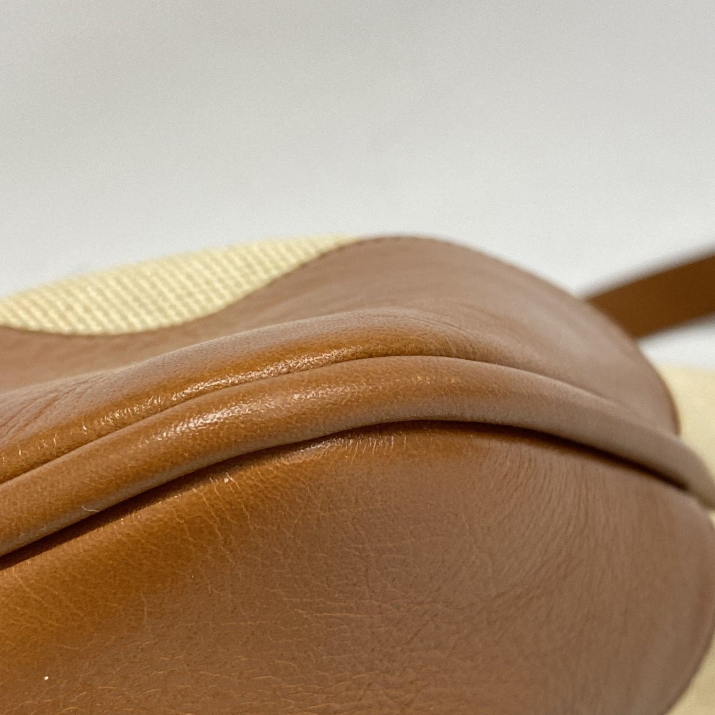 Gucci Ophidia