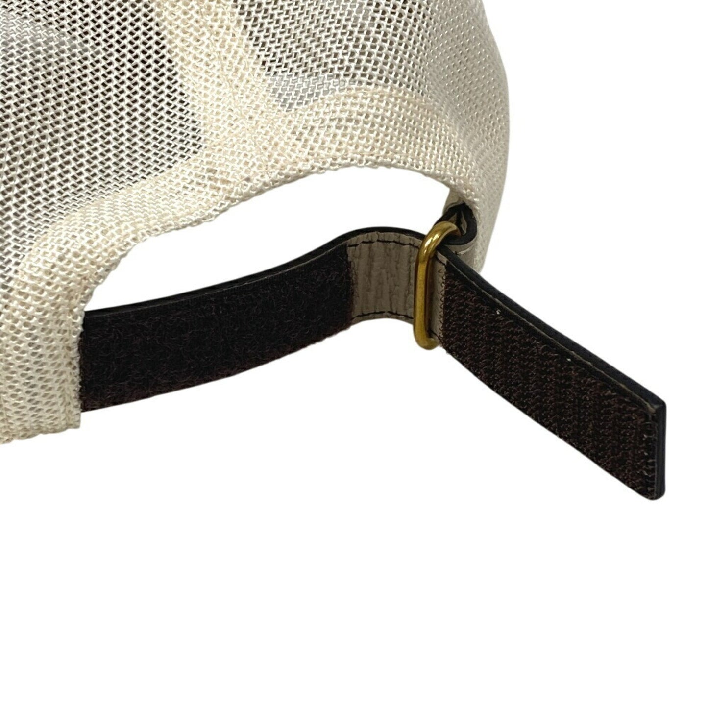 Gucci GG canvas
