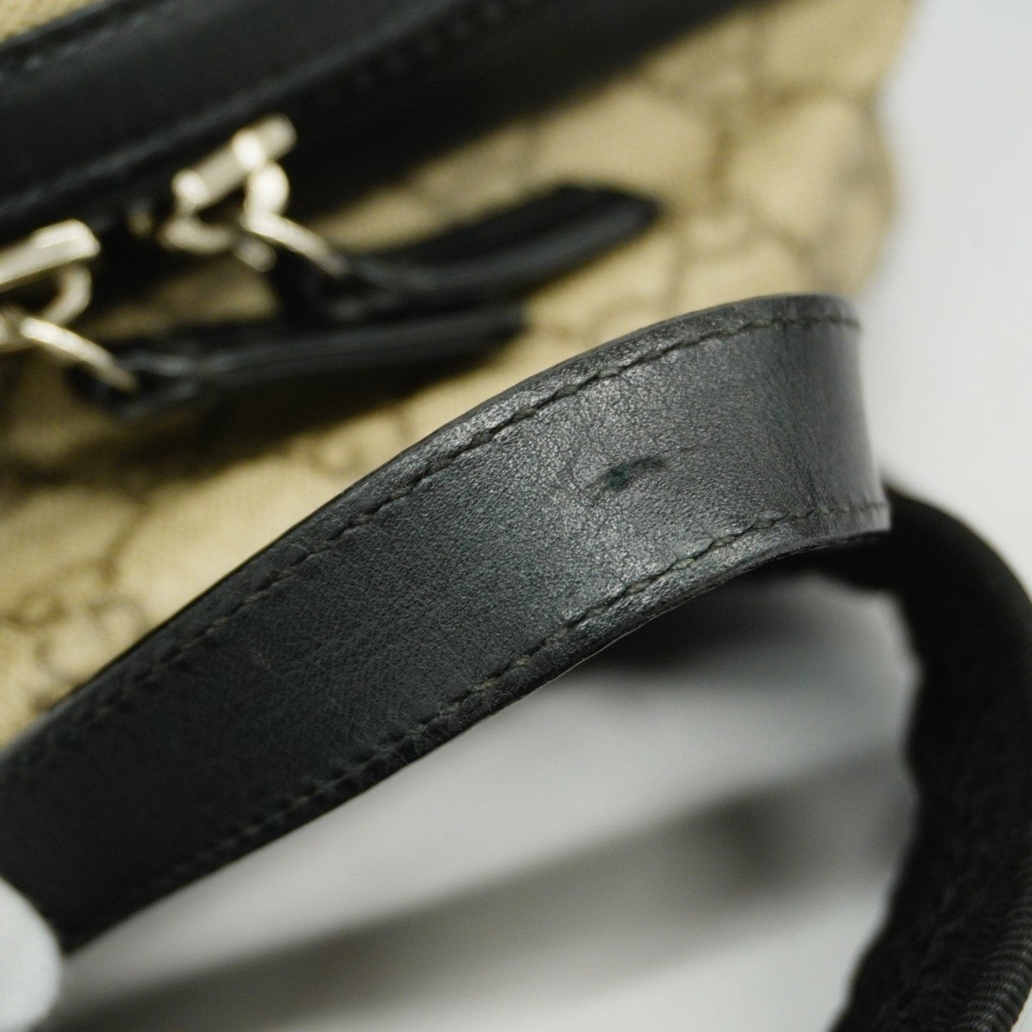 Gucci GG canvas