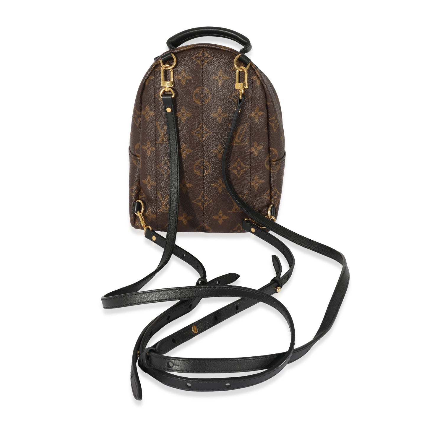 Louis Vuitton Louis Vuitton Monogram Canvas Palm Springs Mini Backpack