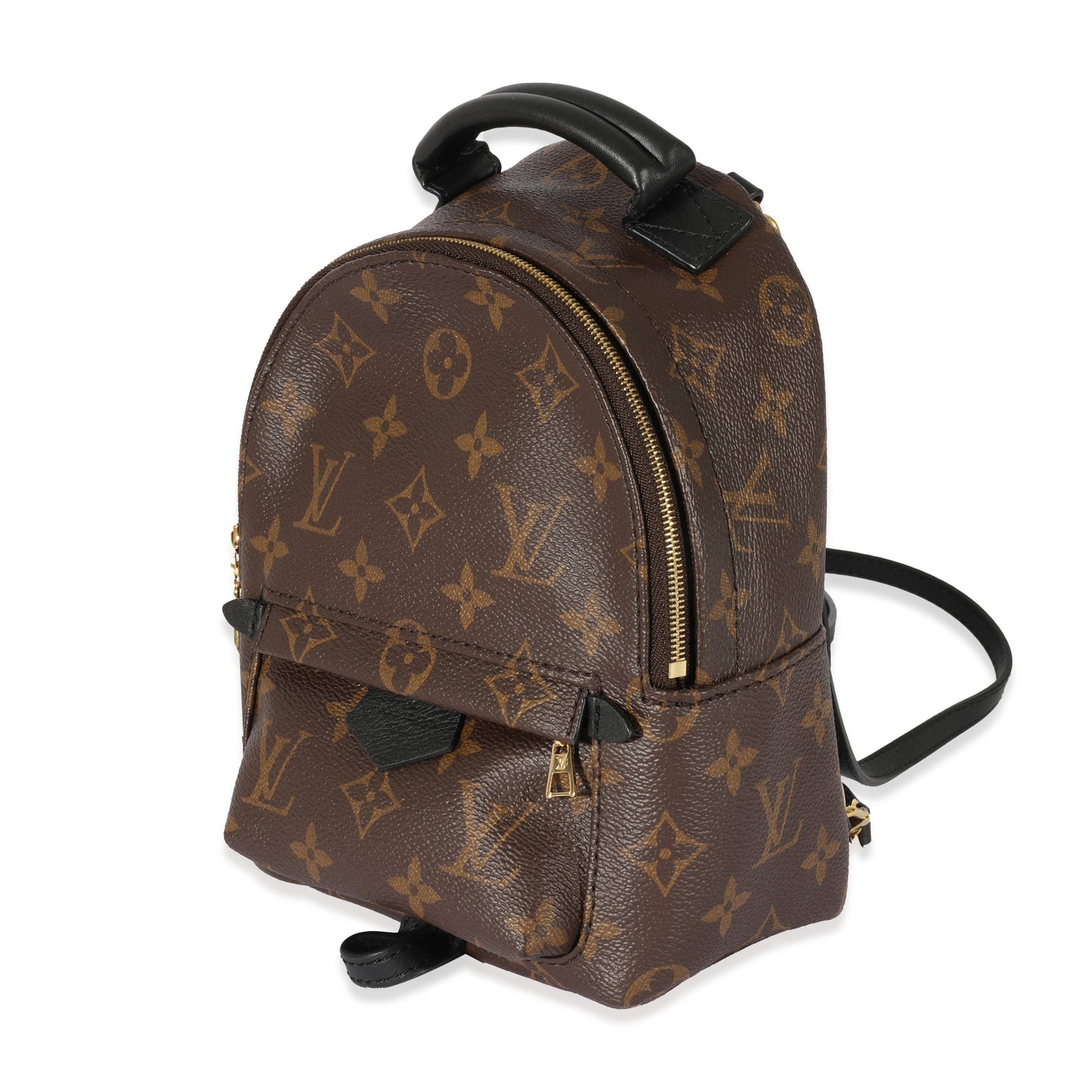 Louis Vuitton Louis Vuitton Monogram Canvas Palm Springs Mini Backpack
