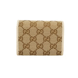 Gucci GG canvas