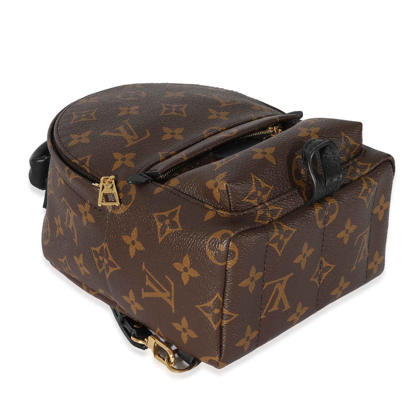 Louis Vuitton Louis Vuitton Monogram Canvas Mini Palm Springs