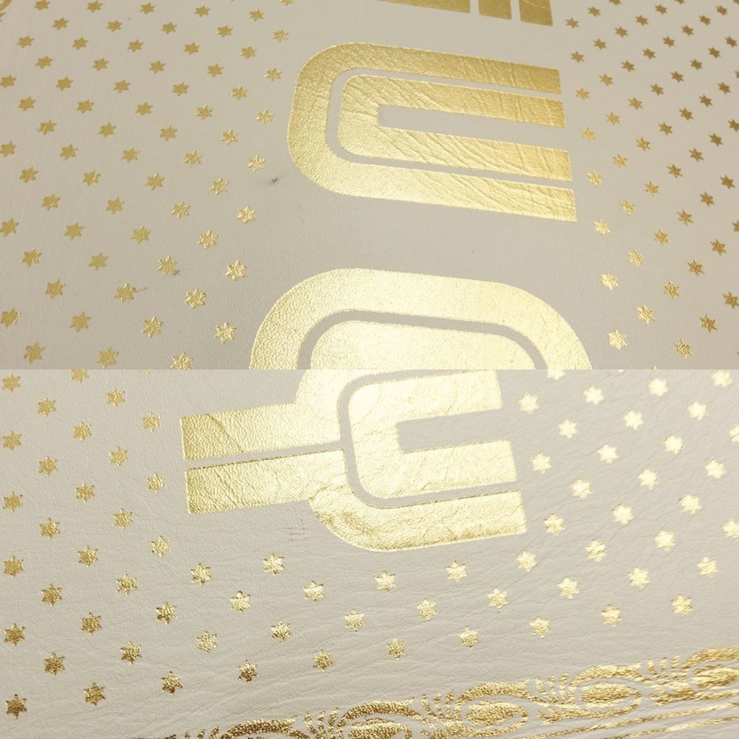 Gucci Sega print