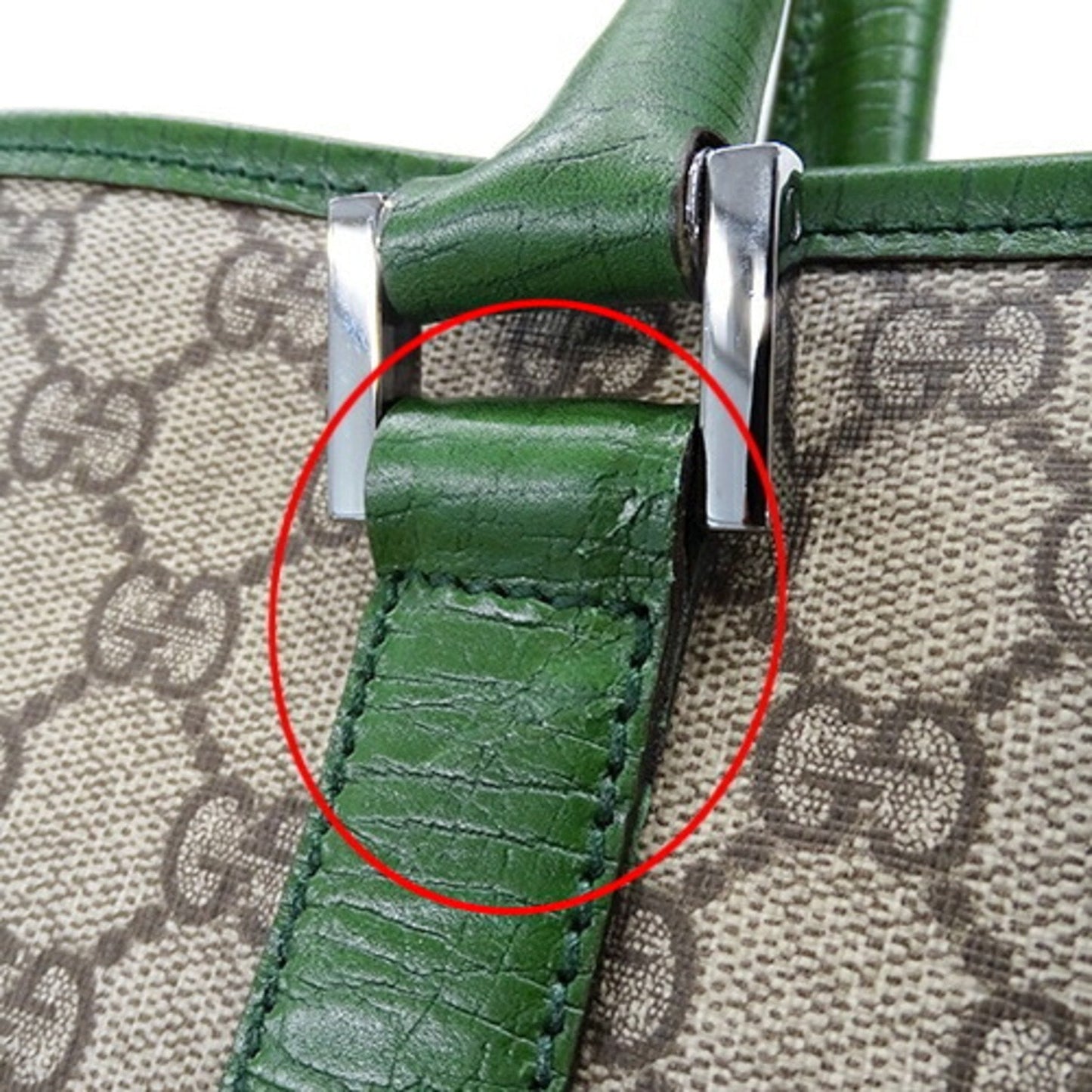 Gucci GG canvas