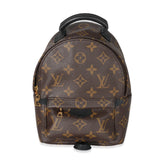 Louis Vuitton Louis Vuitton Monogram Mini Palm Spring Backpack