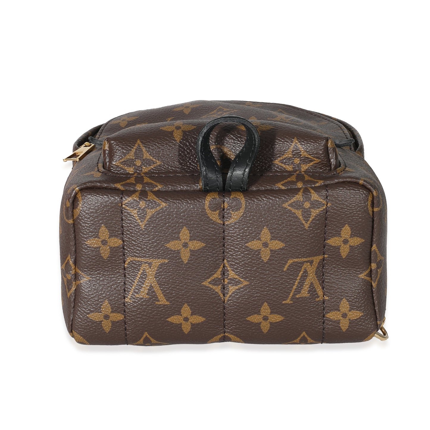 Louis Vuitton Louis Vuitton Monogram Mini Palm Spring Backpack