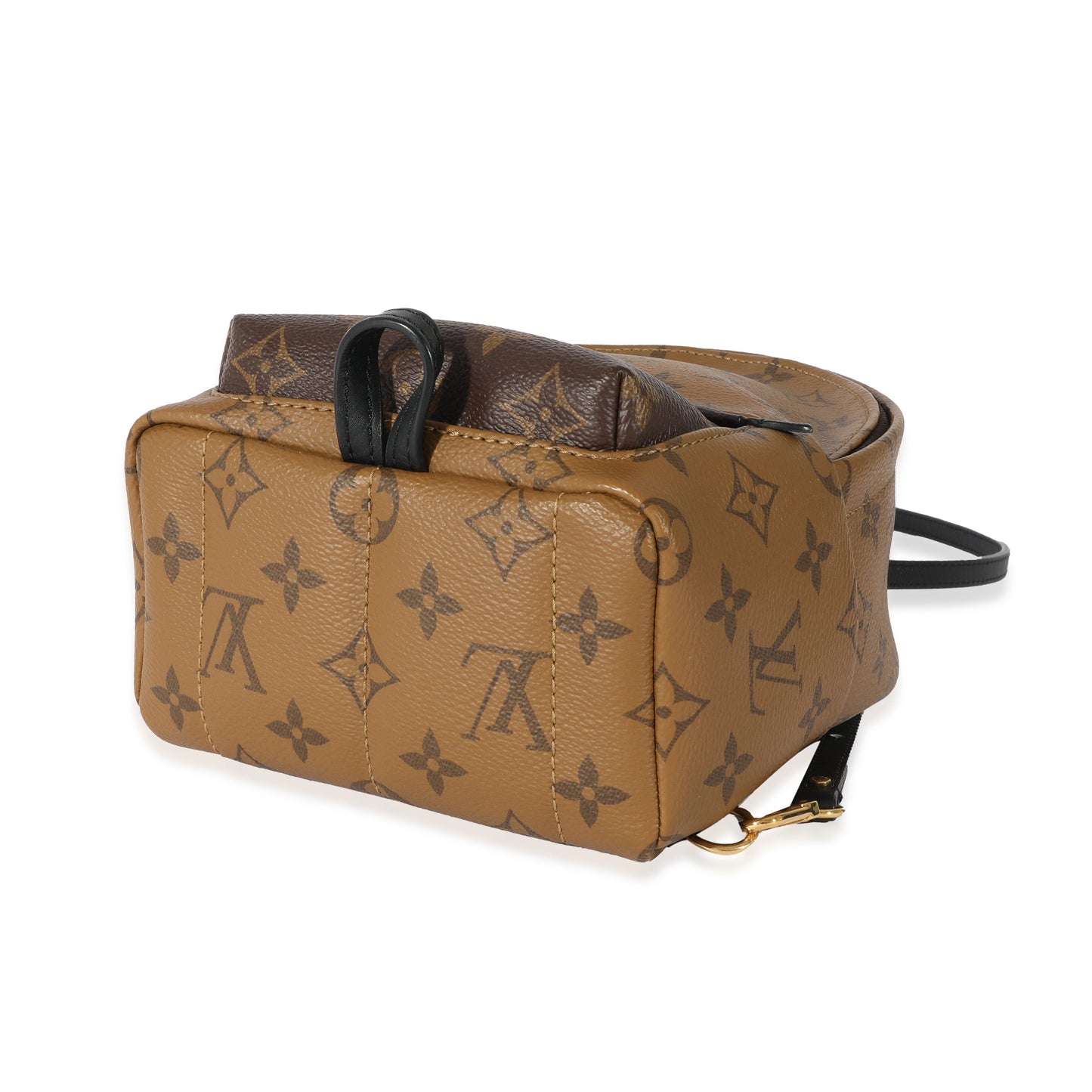Louis Vuitton Louis Vuitton Canvas Reverse Monogram Palm Springs Mini