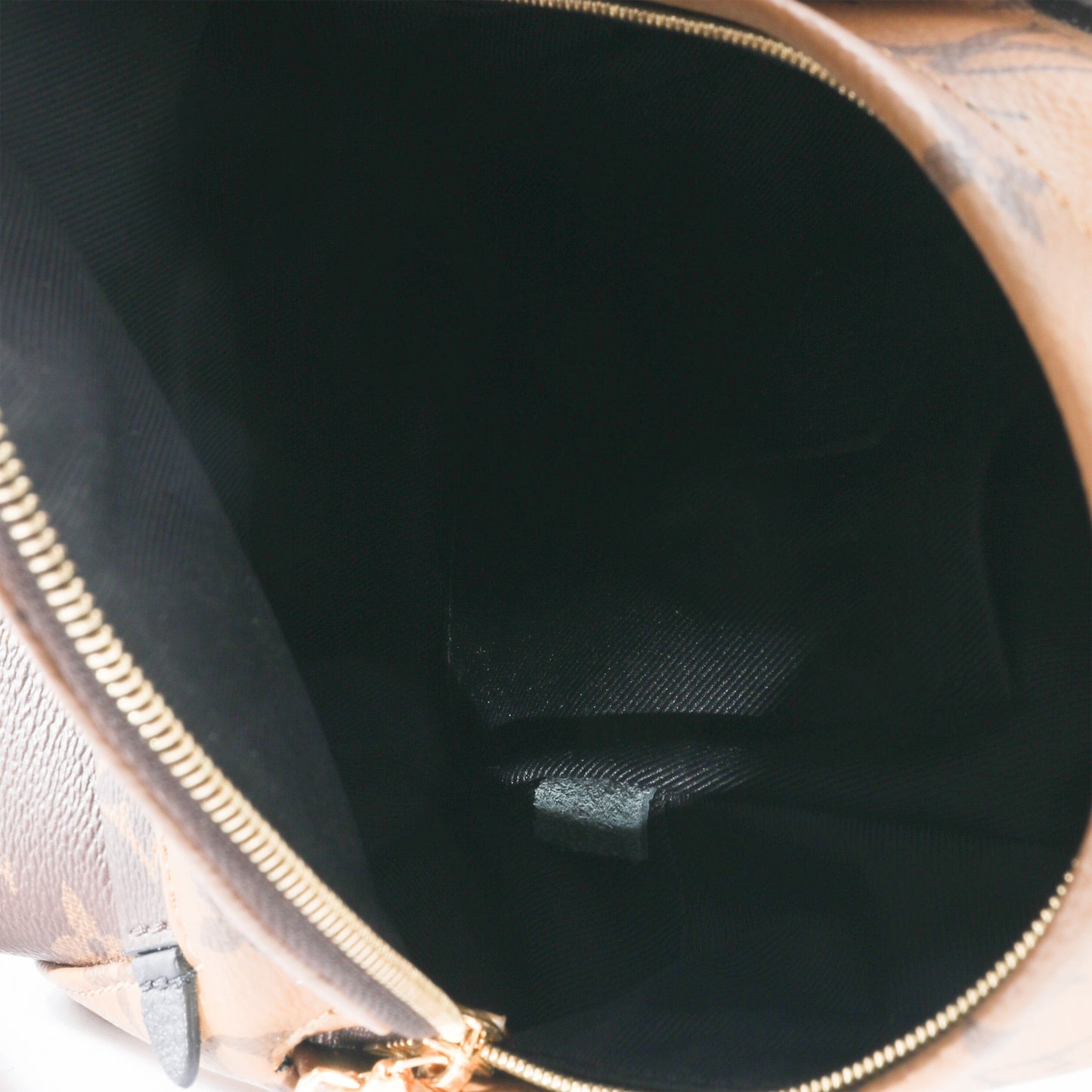 Louis Vuitton Louis Vuitton Canvas Reverse Monogram Palm Springs Mini