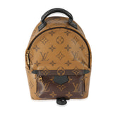 Louis Vuitton Louis Vuitton Canvas Reverse Monogram Palm Springs Mini