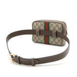 Gucci Ophidia