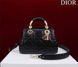 Amelia- DYOR LUXRY BAGS FOR WOMEN - 1432