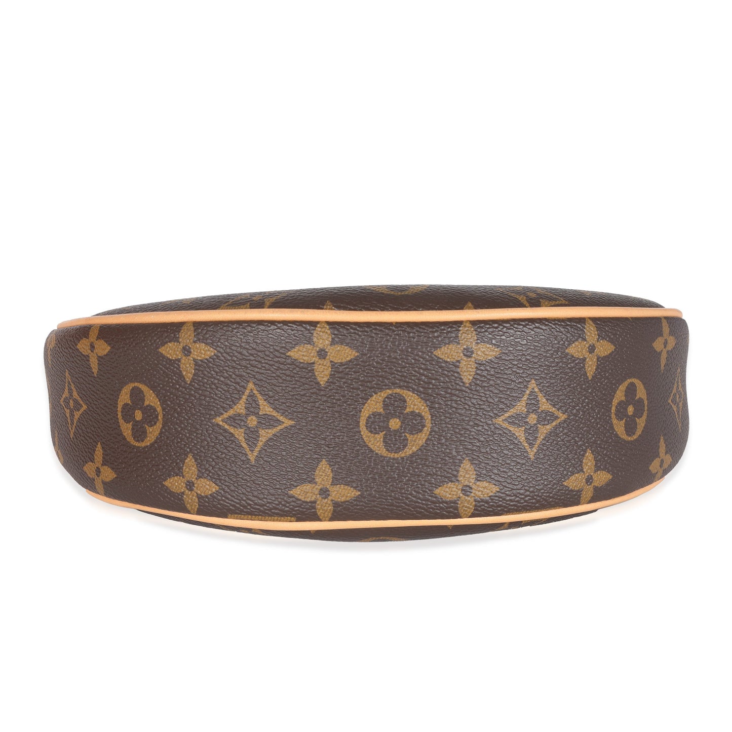 Louis Vuitton Louis Vuitton Monogram Canvas Loop Bag