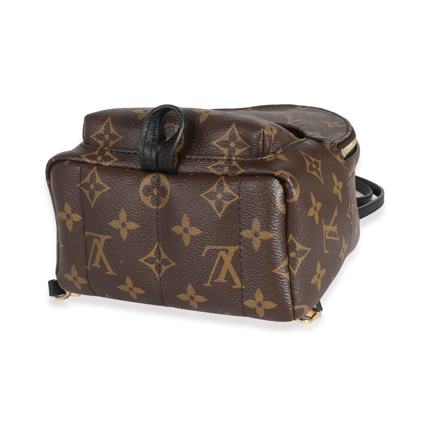 Louis Vuitton Louis Vuitton Monogram Canvas Mini Palm Spring Backpack