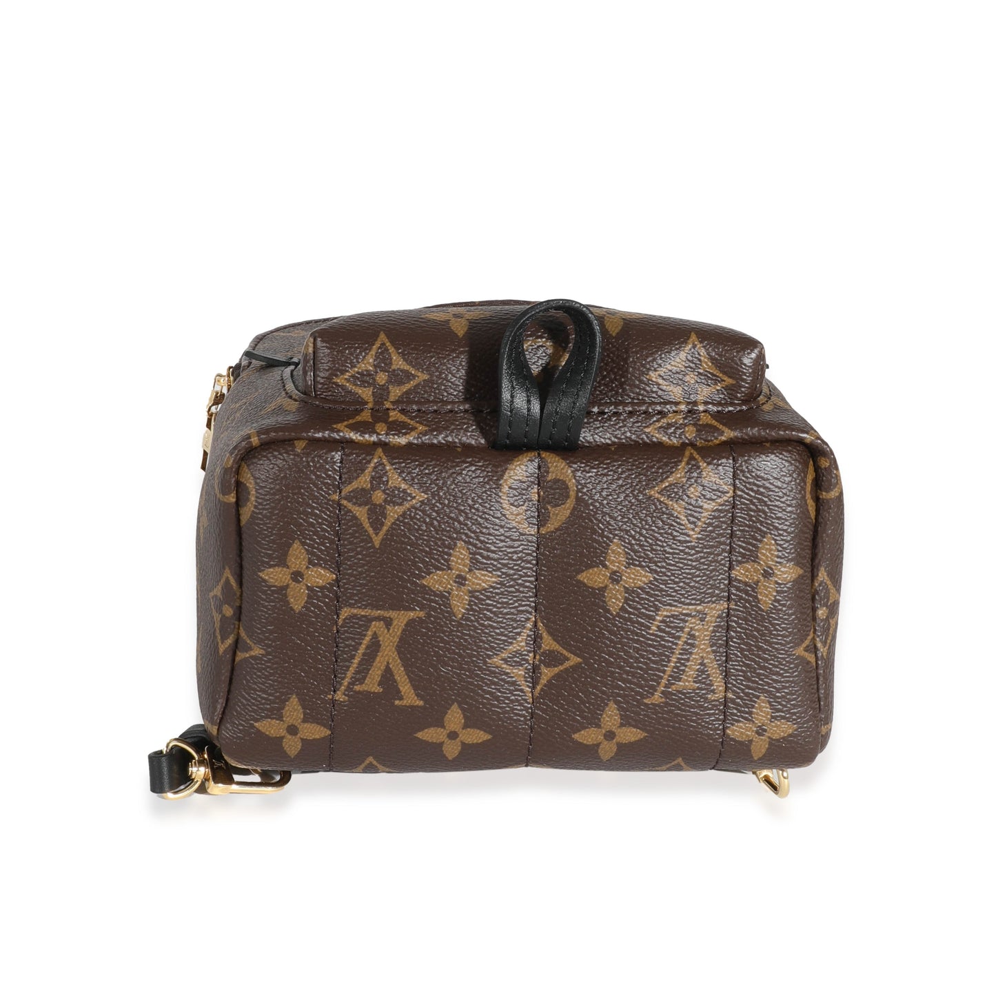 Louis Vuitton Louis Vuitton Monogram Canvas Mini Palm Spring Backpack