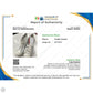 Shoes Luxury Designer By Prada In White, Size: 9.5