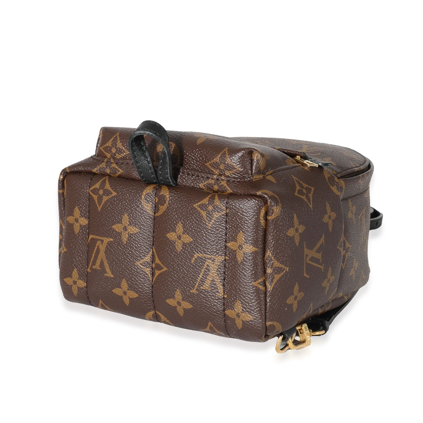 Louis Vuitton Louis Vuitton Monogram Canvas Palm Springs Mini Backpack