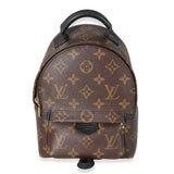 Louis Vuitton Louis Vuitton Monogram Canvas Palm Springs Mini Backpack