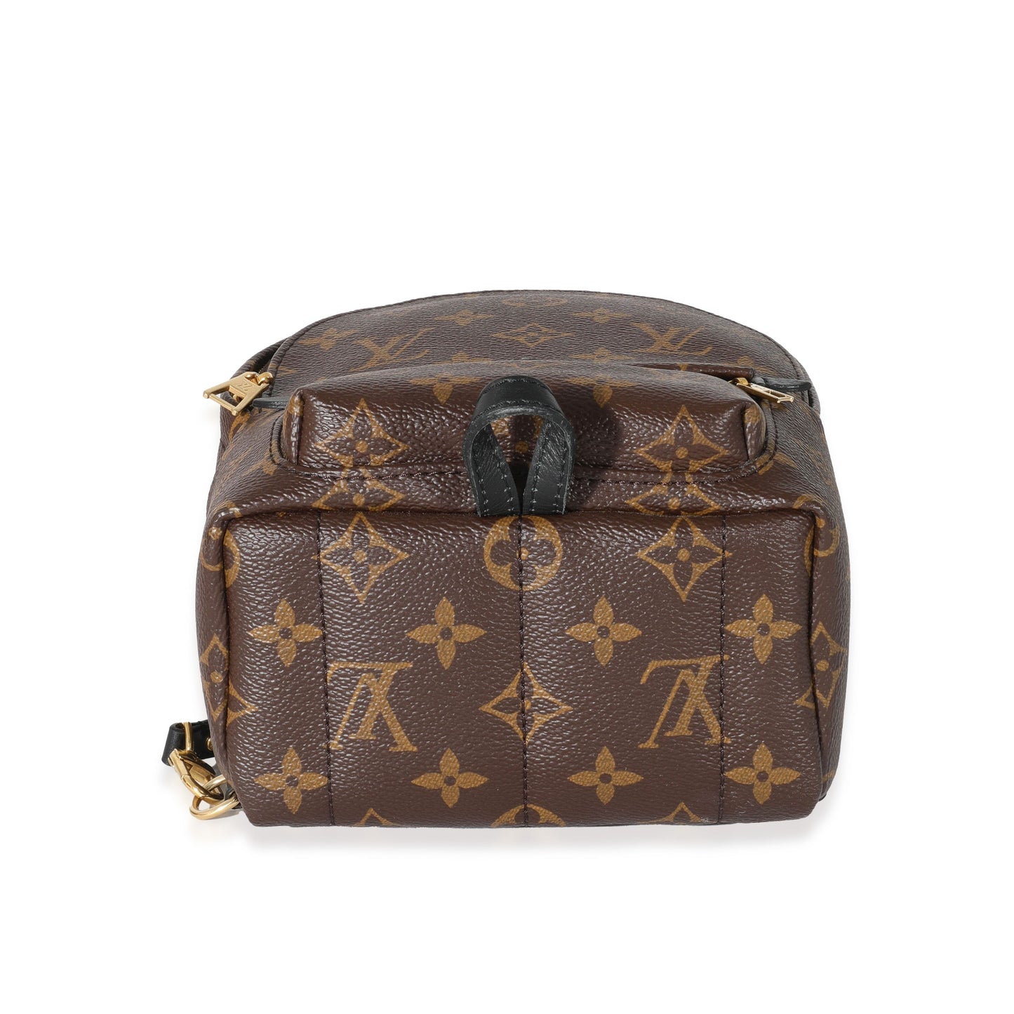Louis Vuitton Louis Vuitton Monogram Canvas Palm Springs Mini Backpack