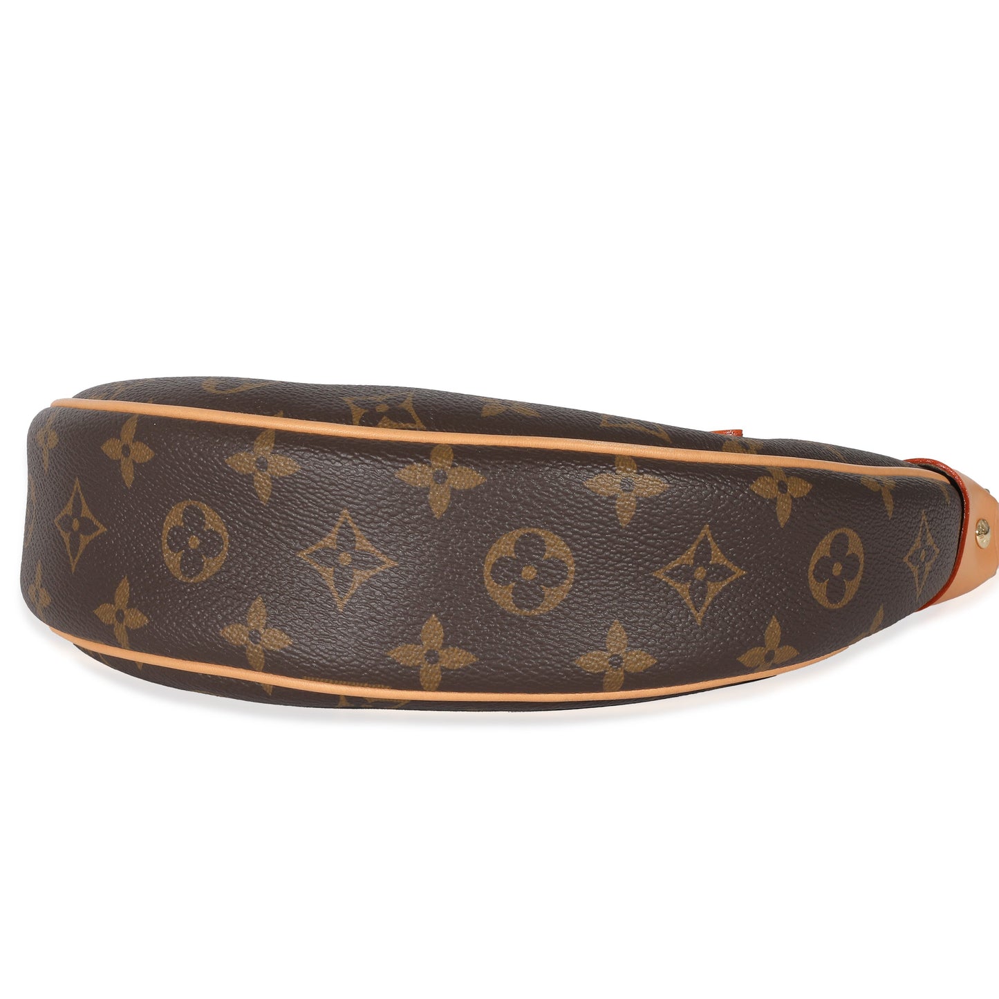 Louis Vuitton Louis Vuitton Monogram Canvas Loop Bag